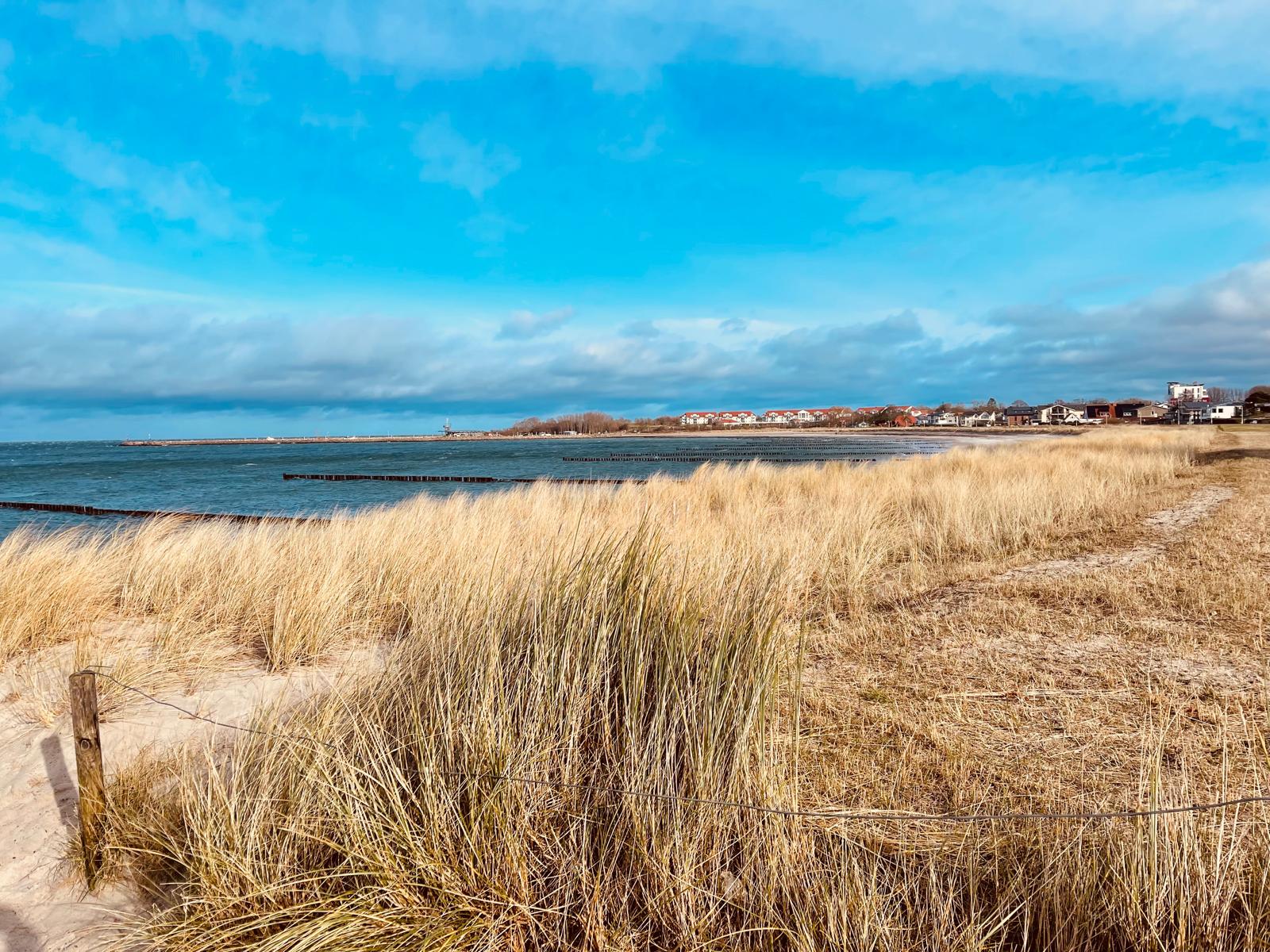 Strand von Glowe auf Rügen: Dünengras im Vordergrund, dahinter die Ostsee mit Buhnen und der Ort am Horizont