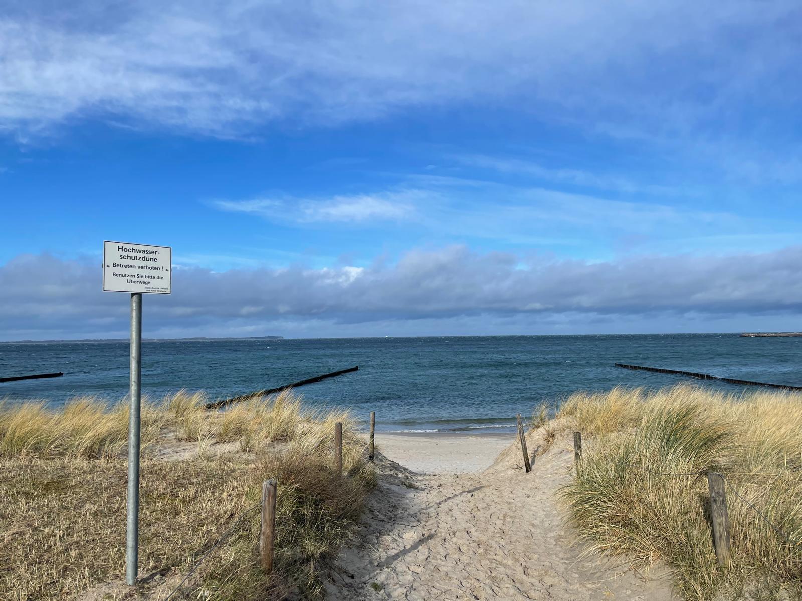 Sandweg zwischen Strandhafer und Holzpfählen hinunter zum Strand, dahinter die Ostsee mit Buhnen unter blauem Himmel