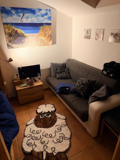 Kleines Zimmer mit dunklem Sofa, Fernseher, Strandbild an der Wand und Schaf-Teppich